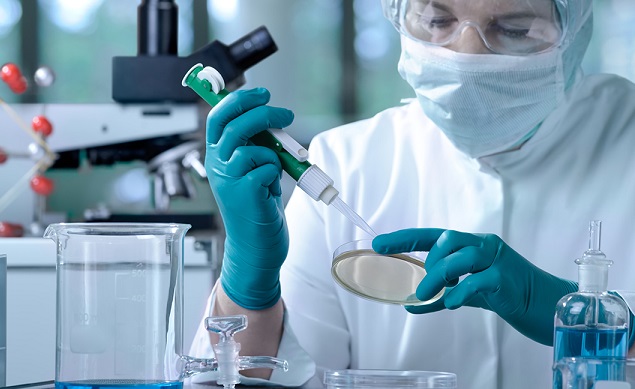 investigación-con-células-madre