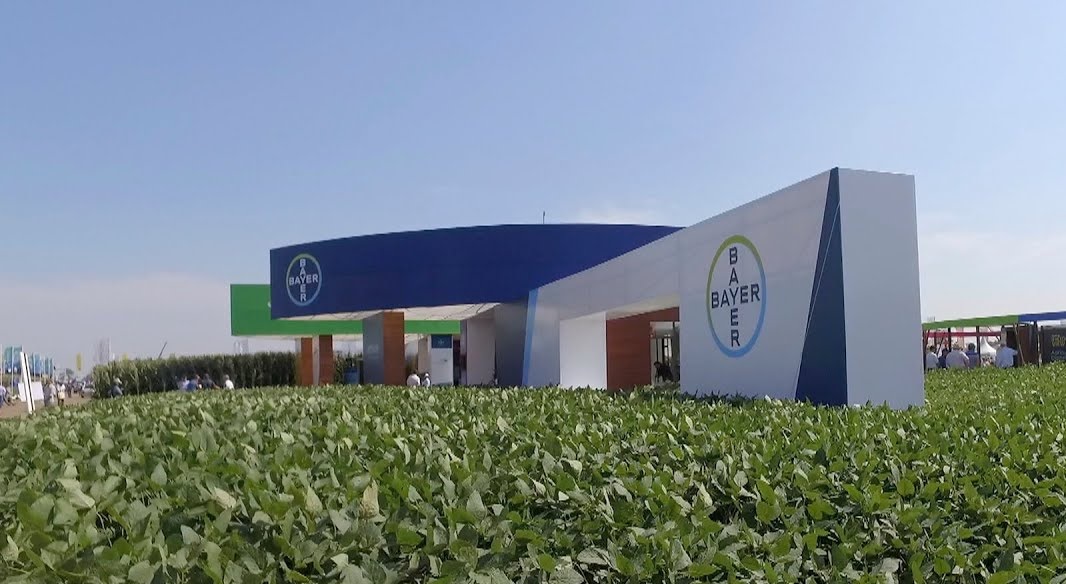 bayer