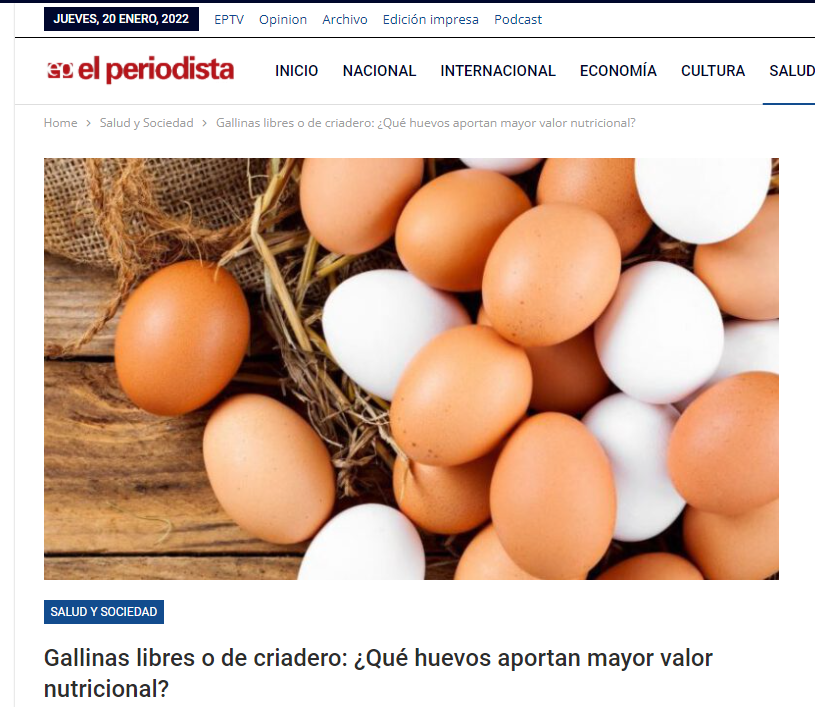 dsadas