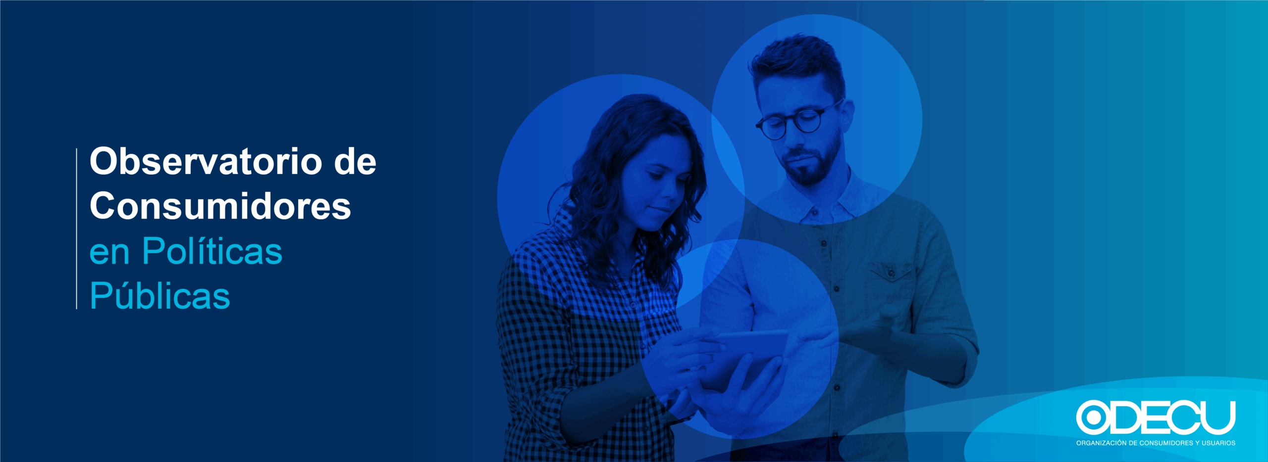 observatorio web 2023