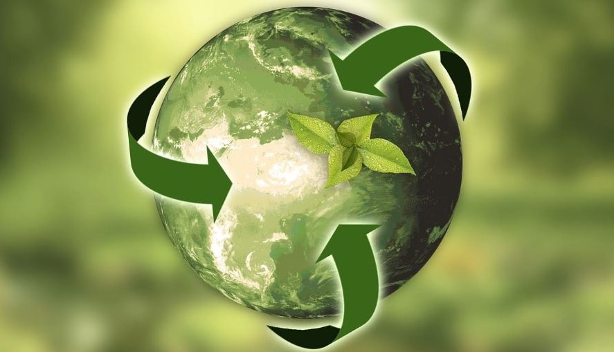 ecoetiquetado-2023